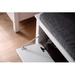 Batų dėžė 13 FARGO