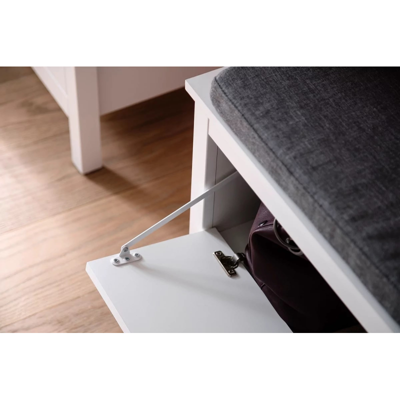 Batų dėžė 13 FARGO