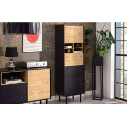 Knygų spinta LOFTY OAK, 52x41x174 cm