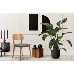 Kėdė VINI, pilka/ąžuolo, 47x45x80,5 cm