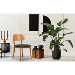 Kėdė VINI, grafito/ąžuolo, 47x45x80,5 cm