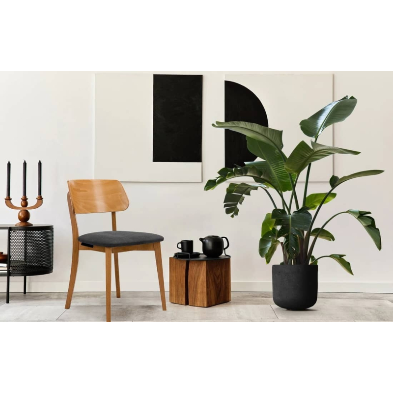 Kėdė VINI, grafito/ąžuolo, 47x45x80,5 cm