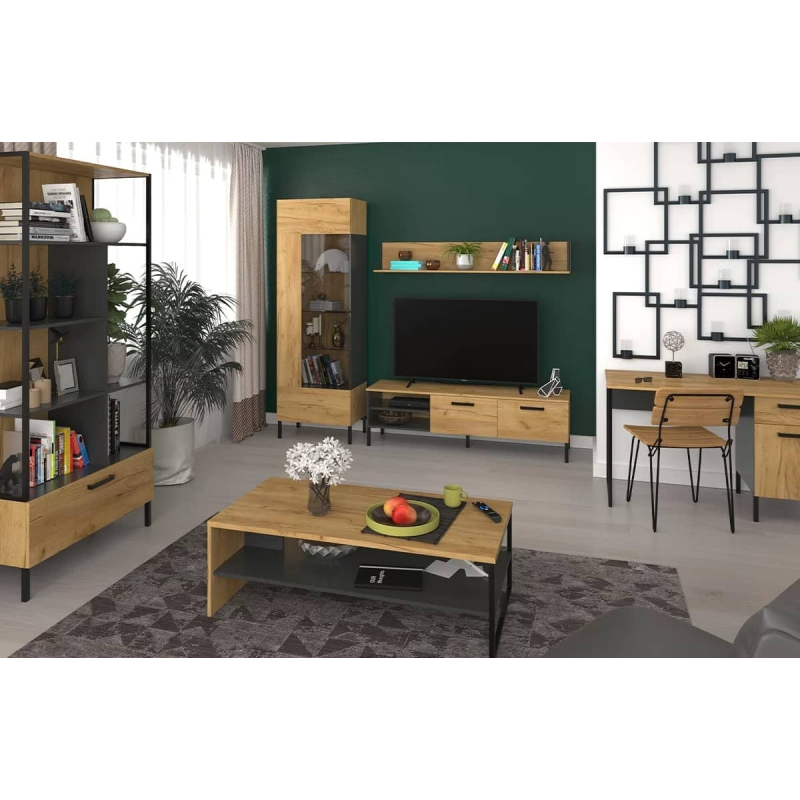 TV spintelė LACER, 155x42x46 cm