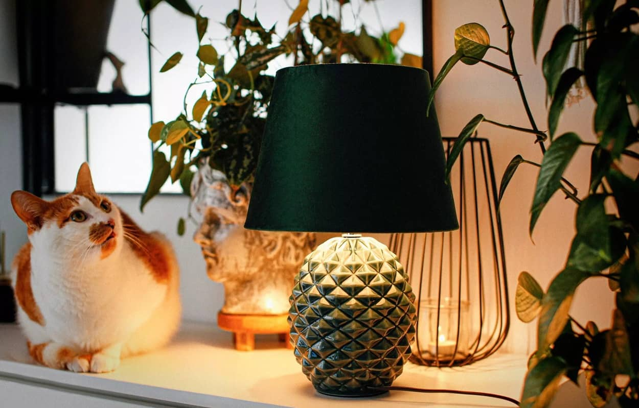 Stalinis šviestuvas FRUCTI, 25x25x38 cm