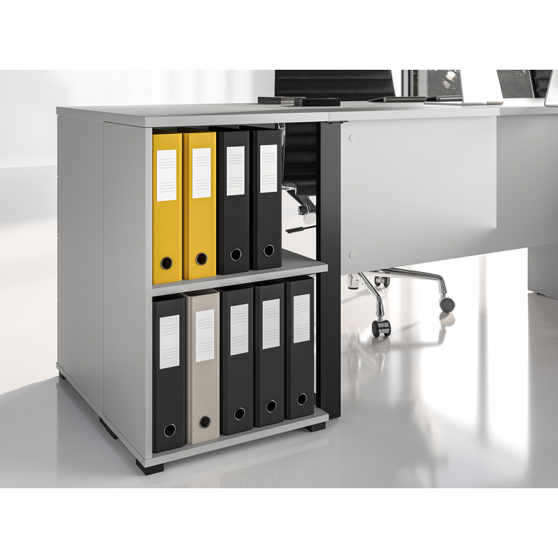 Pastatoma lentyna biurui BARDON, 27x46x74 cm