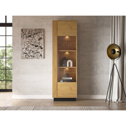 Vitrina MODESA, 60x40x196 cm