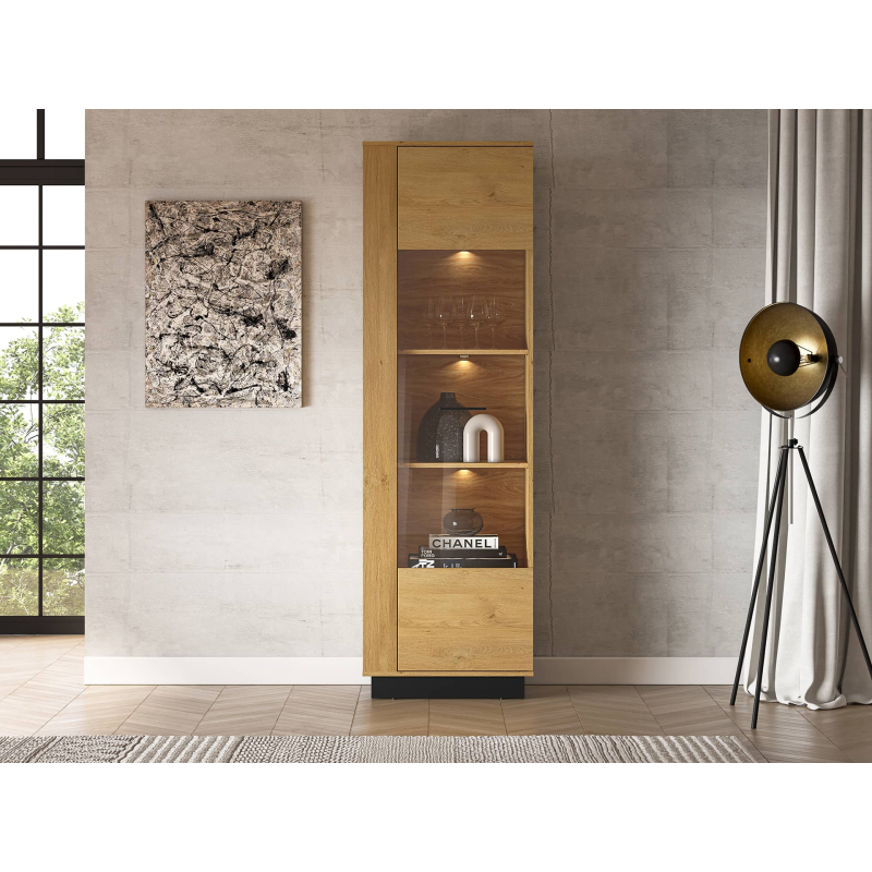 Vitrina MODESA, 60x40x196 cm