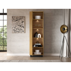 Vitrina MODESA, 60x40x196 cm