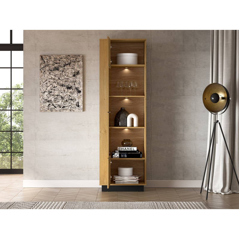 Vitrina MODESA, 60x40x196 cm