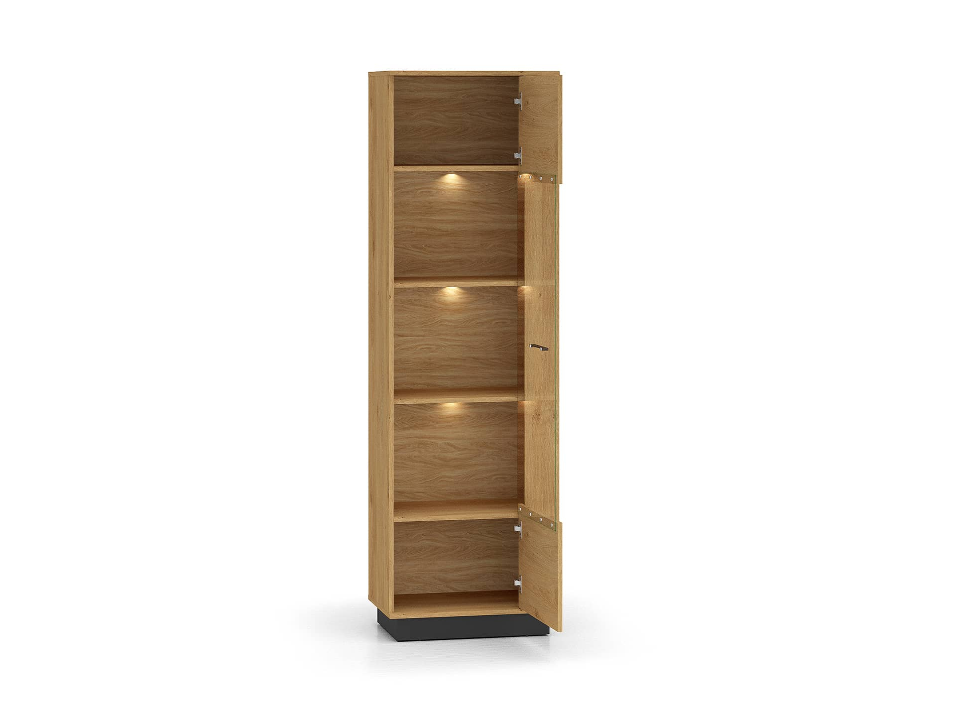Vitrina MODESA, 60x40x196 cm