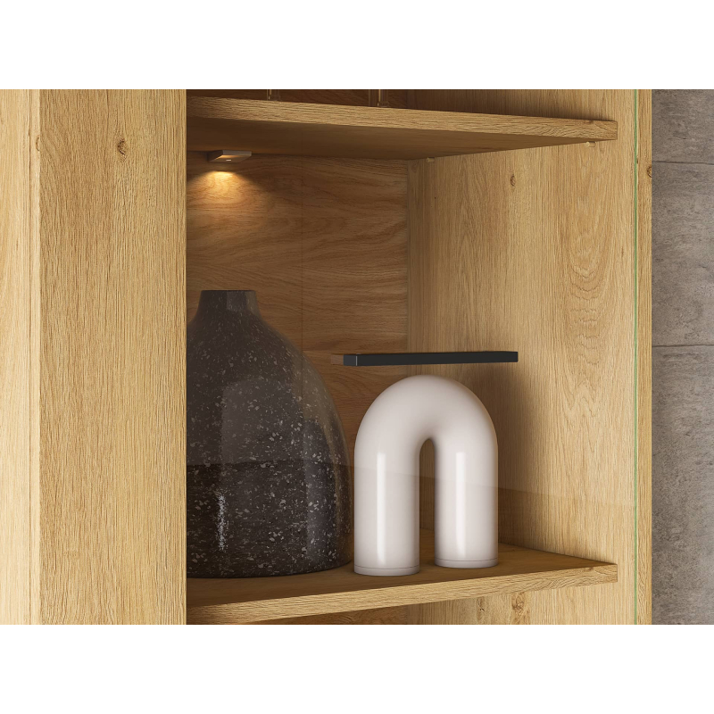 Vitrina MODESA, 60x40x196 cm
