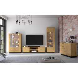Vitrina MODESA, 60x40x196 cm
