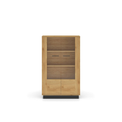 Dvidurė vitrina MODESA, 92x40x149 cm