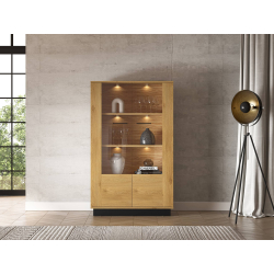 Dvidurė vitrina MODESA, 92x40x149 cm