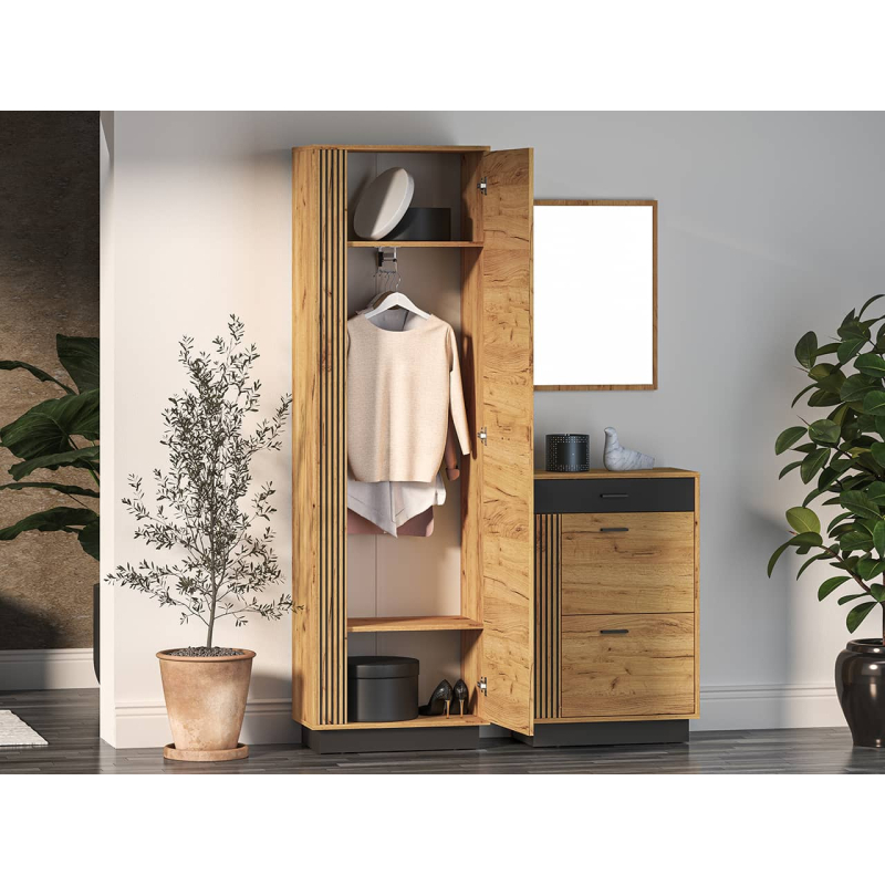 Prieškambario spinta VASCA, 60x34x200 cm