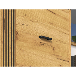 Prieškambario spinta VASCA, 60x34x200 cm