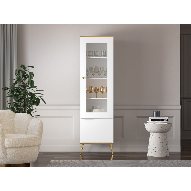Siaura vitrina VITERA, 55x40x195 cm