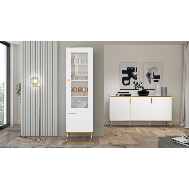 Siaura vitrina VITERA, 55x40x195 cm