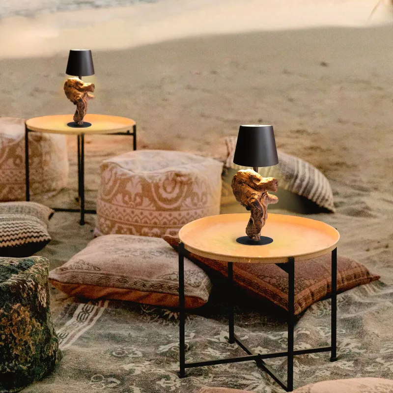 Stalinis bevielis įkraunamas LED šviestuvas SF285, 11x13x29 cm