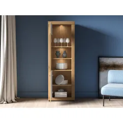 Aukšta vitrina DORO, 65x40x195 cm