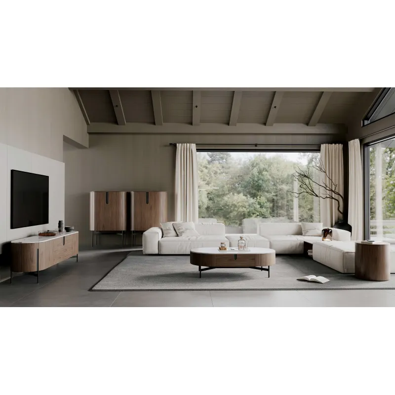 TV spintelė SILAVIA, 220x50x60 cm