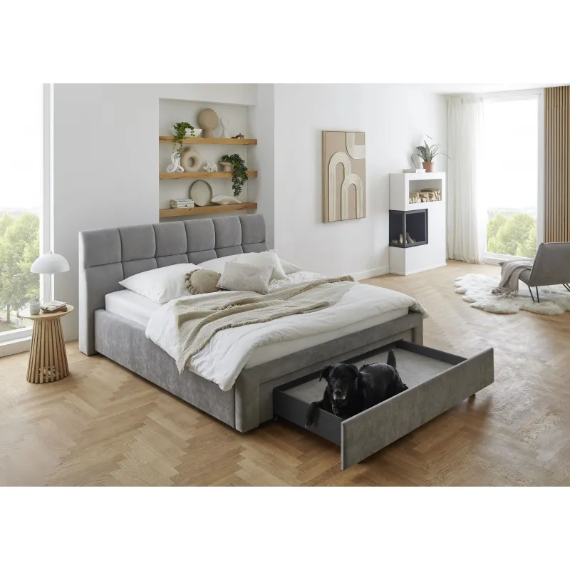 Lova 180 cm CANY su čiužiniu, pilka, su šuns guoliu, 209x228x110 cm