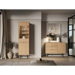 Vitrina REYNA, 54x40x190 cm