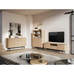 TV spintelė REYNA, 150x33x53 cm