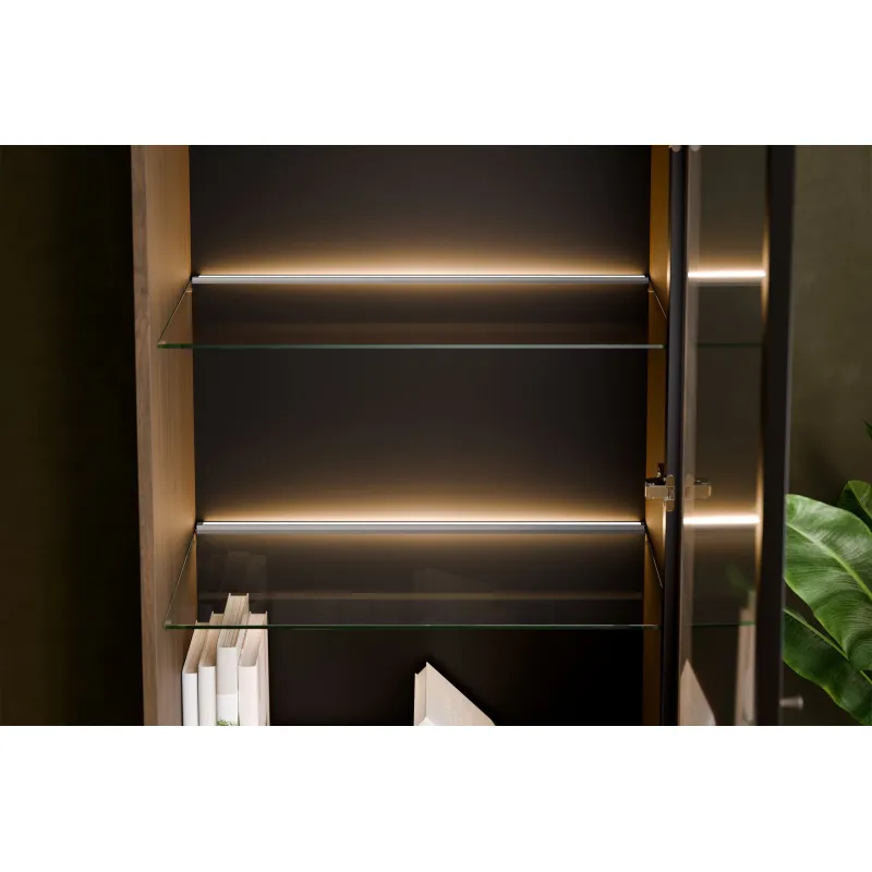 Vitrina su stalčiais ir LED apšvietimu YORANA VILA, 60x40x185 cm