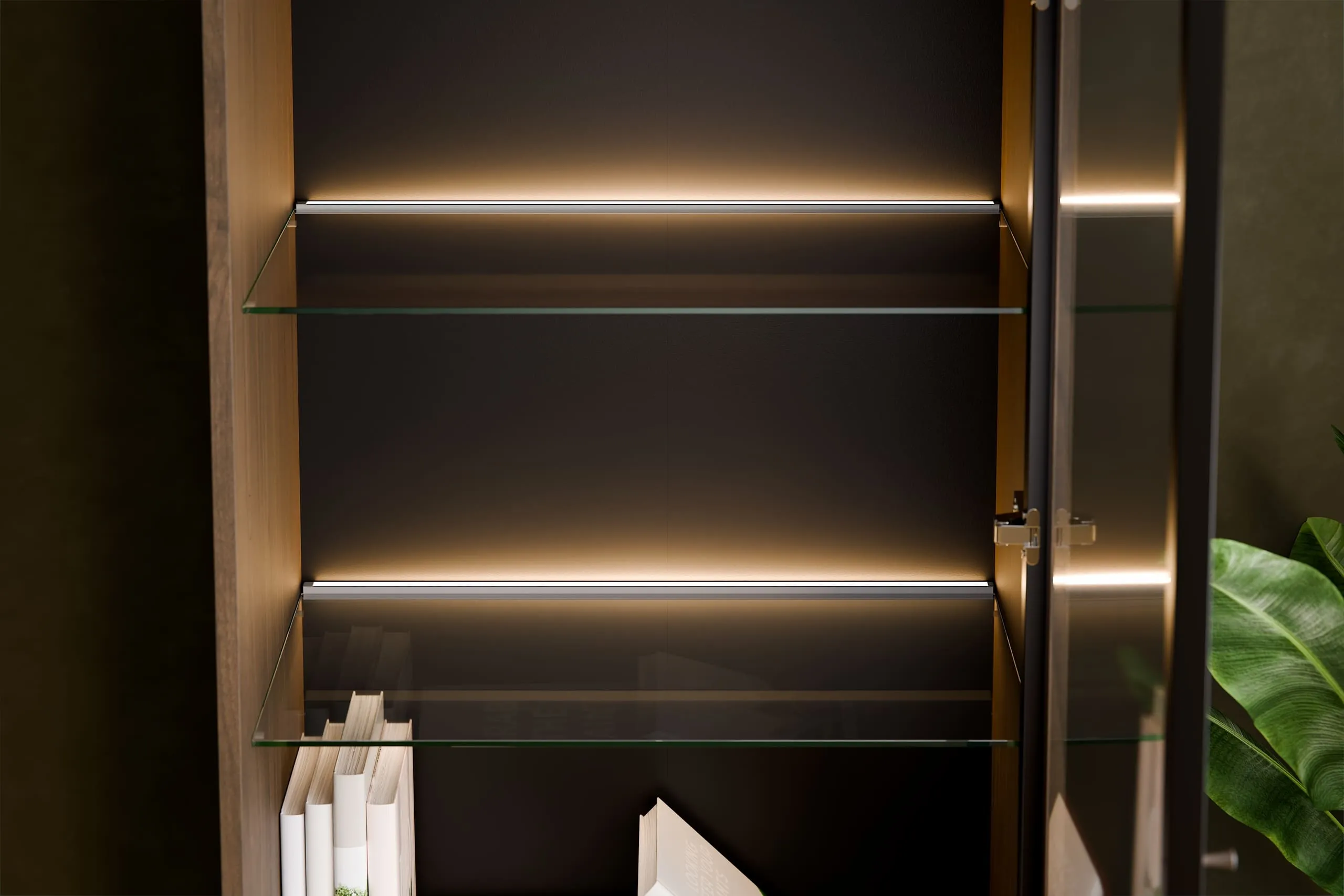 Vitrina su stalčiais ir LED apšvietimu YORANA VILA, 60x40x185 cm