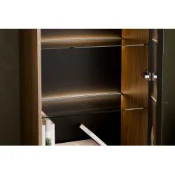 Vitrina su stalčiais ir LED apšvietimu YORANA VILA, 60x40x185 cm