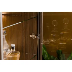 Vitrina su stalčiais ir LED apšvietimu YORANA VILA, 60x40x185 cm